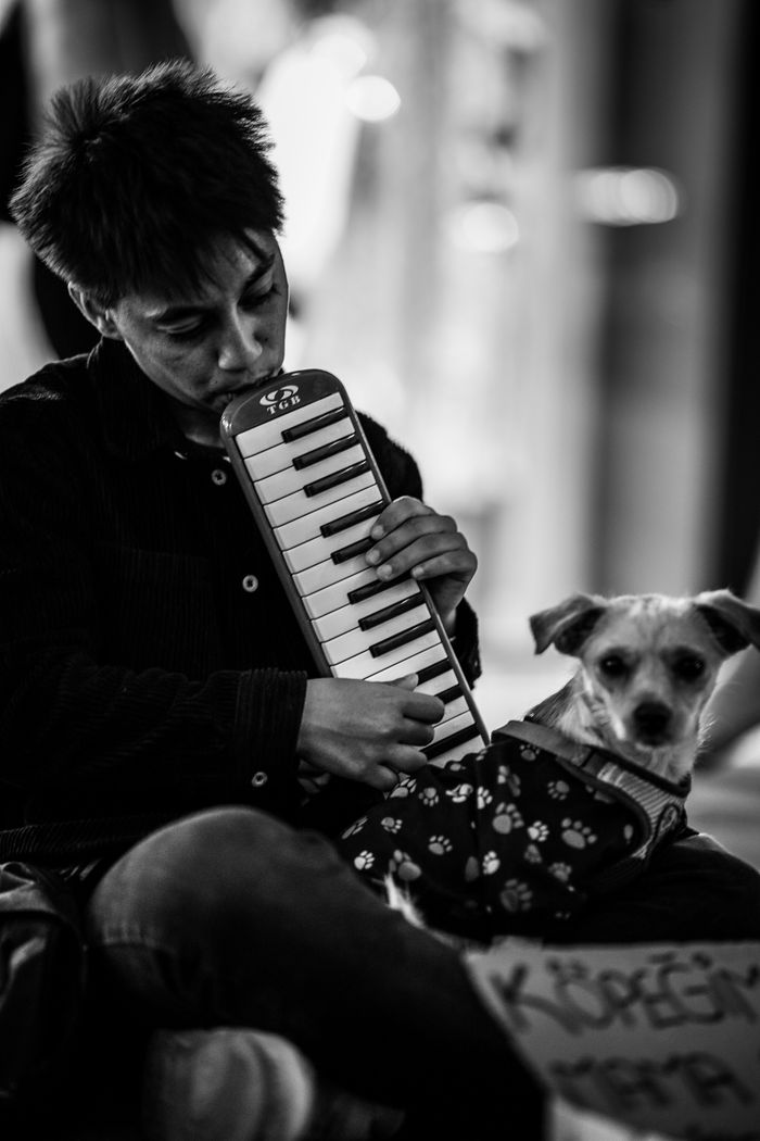 Black and white photo of a street musician playing a melodica with a dog in Ankara.